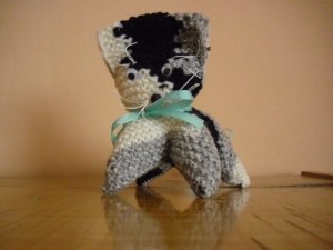kocicky-008.jpg