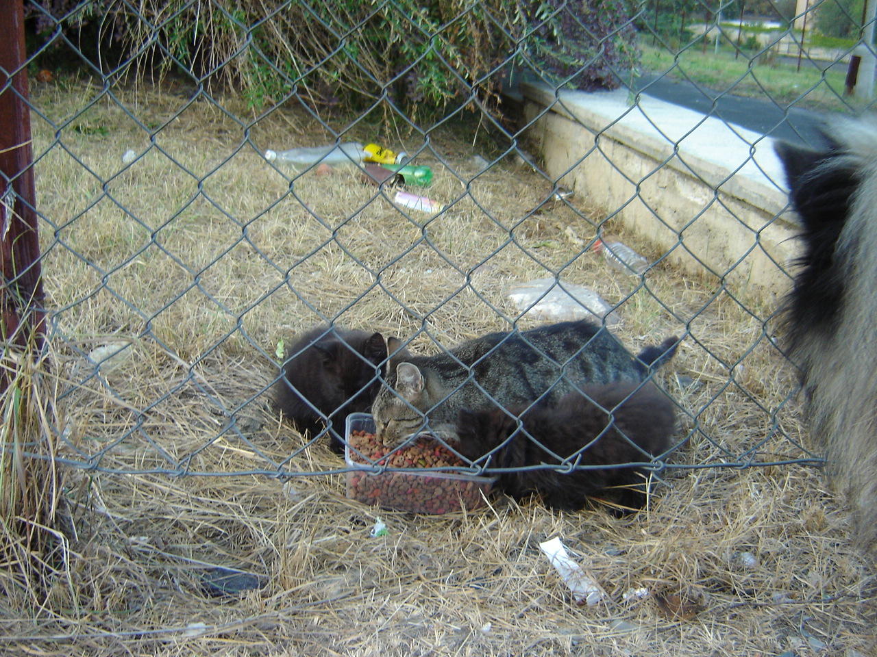 DSC04973.JPG